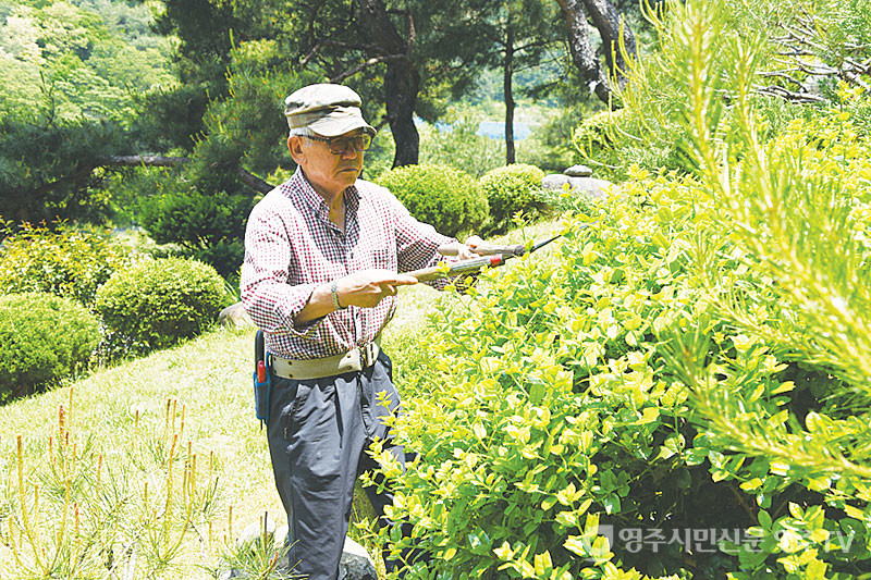 정원을 가꾸고 있는 모습