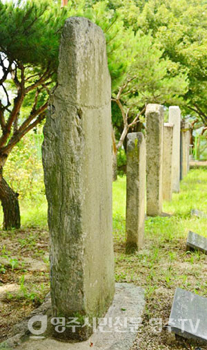 황준량의 비는 다른 송덕비에 비해 훨씬 커 보인다