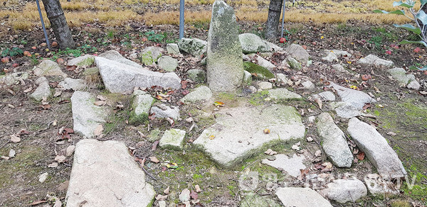 겸암 할배 공부터