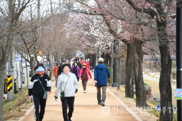 서천둔치 벚꽃 길을 걷고 있는 시민들 모습