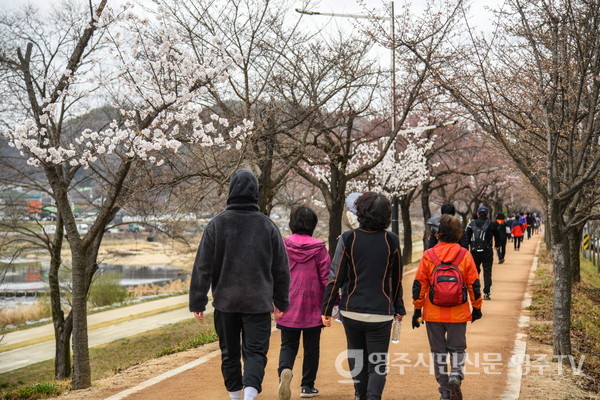 지난해 3월 서천 벚꽃 길을 만끽하며 걷고있는 시민들 모습