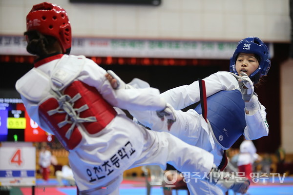 '제55회 경상북도 교육감기 태권도대회' 경기모습
