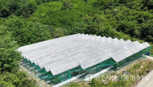 윤 회장이 만든 비가림장치