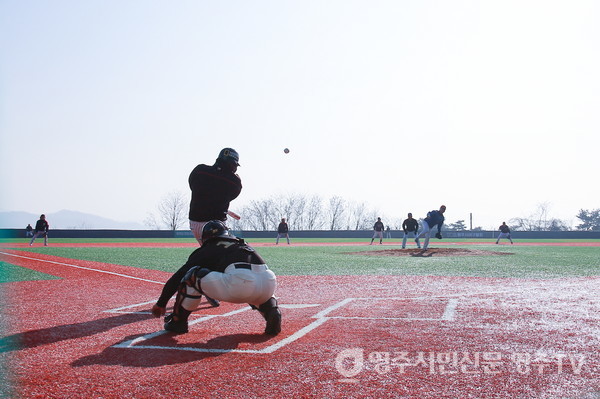 영주시장기 종목별 체육대회 '야구' 경기장면