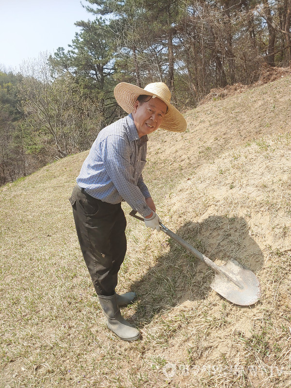 장마후 선조묘소 돌보기