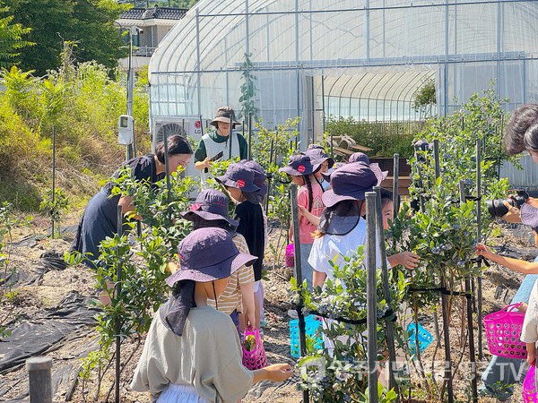 교육농장 프로그램 활동 모습