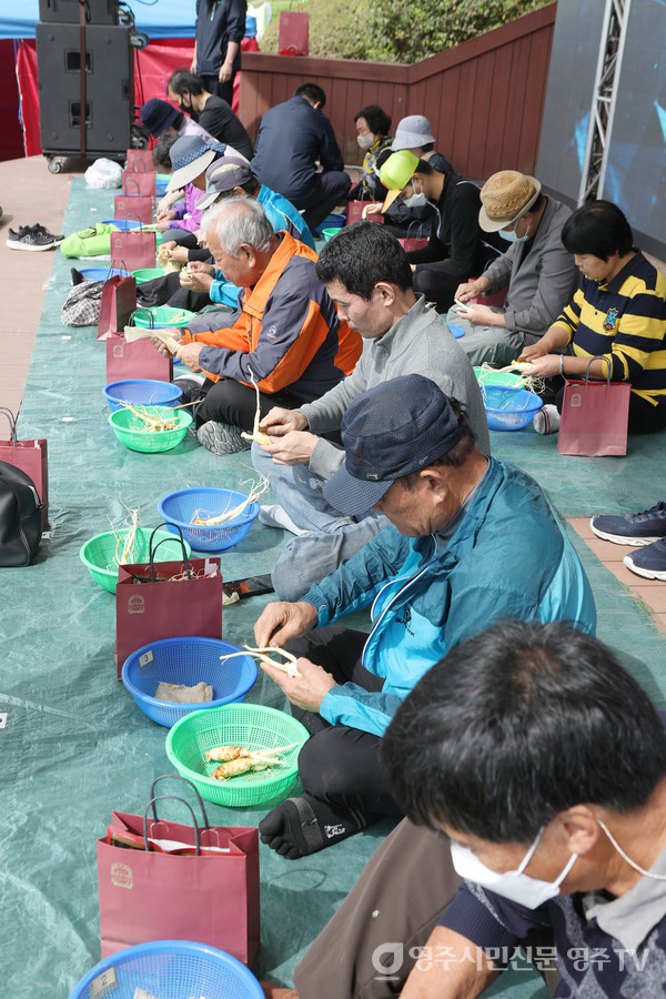 '인삼깎기 경연대회'에 참여한 방문객들