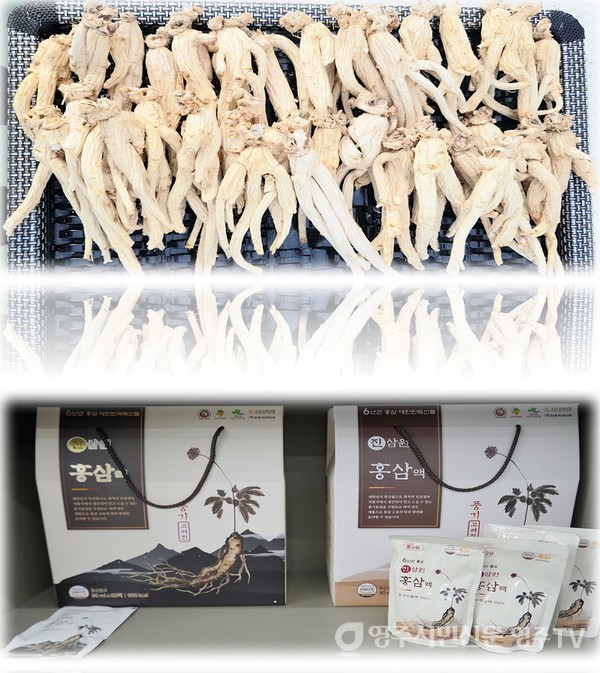 풍기고려삼농업회사법인(주) 이미지