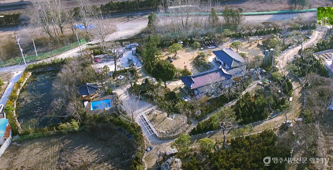 풍기역 뒤 도로 확장 공사로 인해 정원이 축소되기 전 고향집 모습