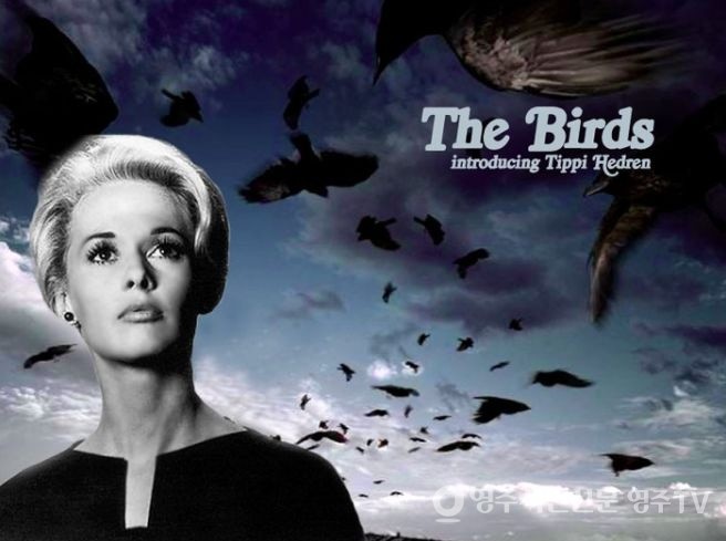 알프레드 히치콕의 영화 '새['