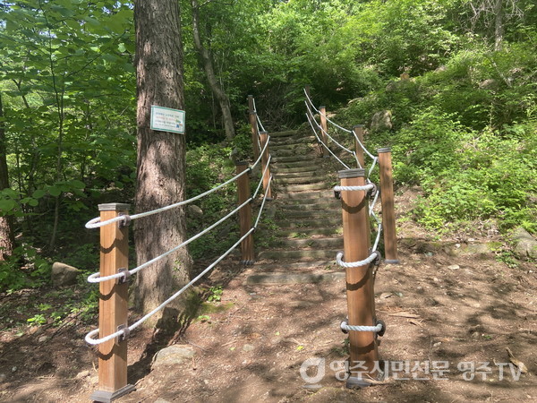 동서트레일 영주 구간’ 조성 모습