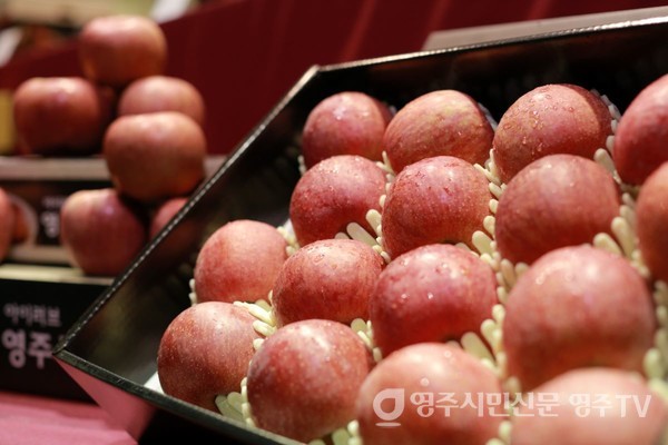 자료사진_부석사와 소백산 자락에서 생산된 '영주사과'