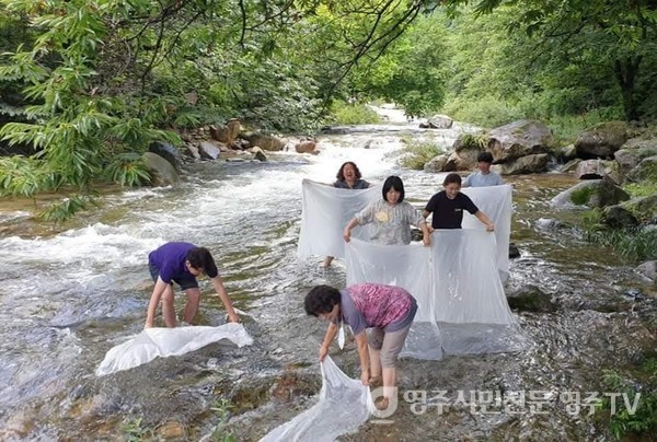 농촌관광 체험프로그램(여름)