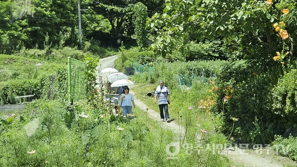 삼시세끼 촌·호캉스