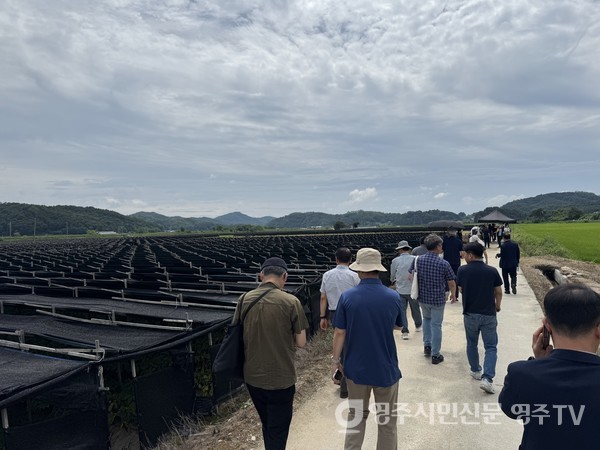 국가중요농업유산 자문위원과 관계전문가들이 단산면 사천리 인삼밭을 둘러보고 있다