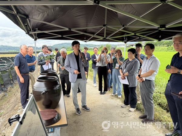  단산면 사천리 인삼밭에서 논삼재배, 해사림농법 등을 설명하고 있다