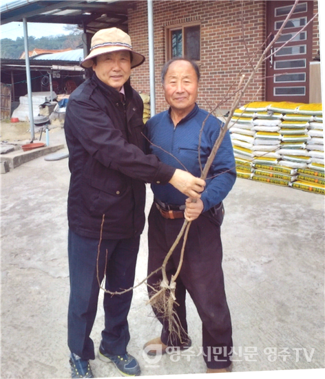 나무 나눠주기 행사