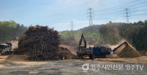2025년 목재파쇄 사업 현장