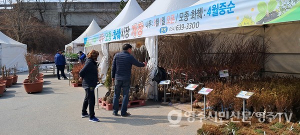 2025.0307 나무시장