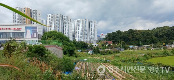 배고개 마을(롯데하이마트 북편)