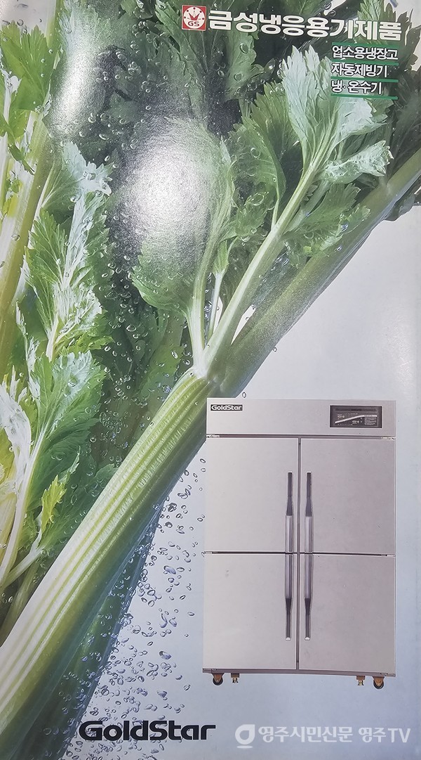 업소용 냉동 저장고