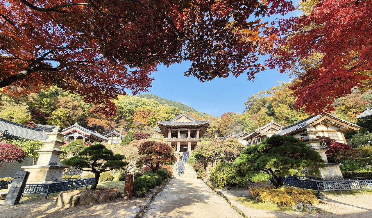 사진제공_소백산국립공원사무소