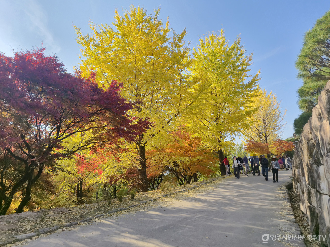 사진제공_소백산국립공원사무소