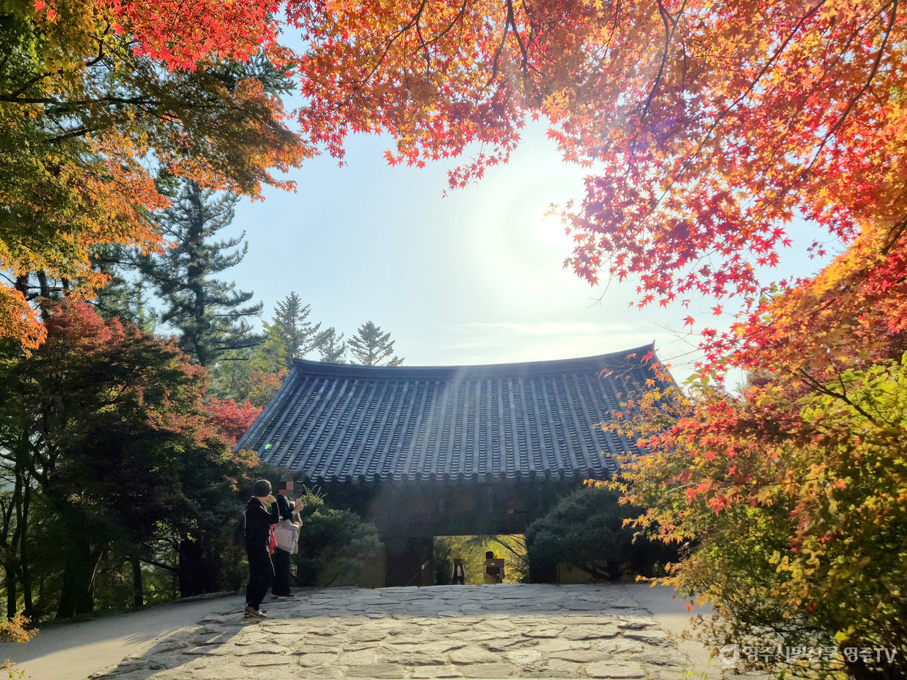 사진제공_소백산국립공원사무소