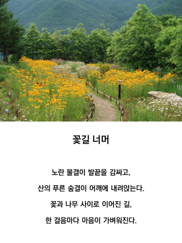 장려상 수상작. 한국산림복지진흥원 국립산림치유원 제공