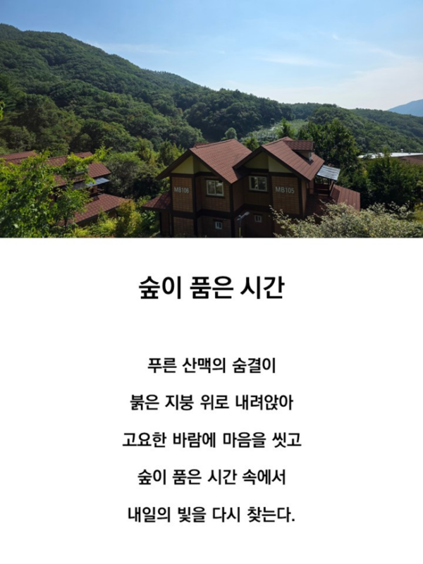 우수상 수상작. 한국산림복지진흥원 국립산림치유원 제공