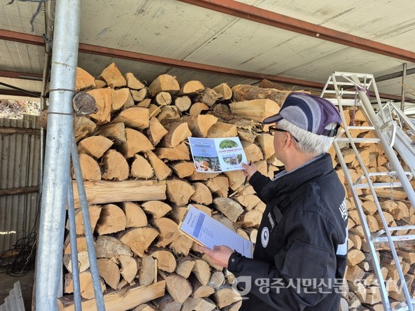 화목 농가에 방문하여 재선충병 단속을 하는 사진